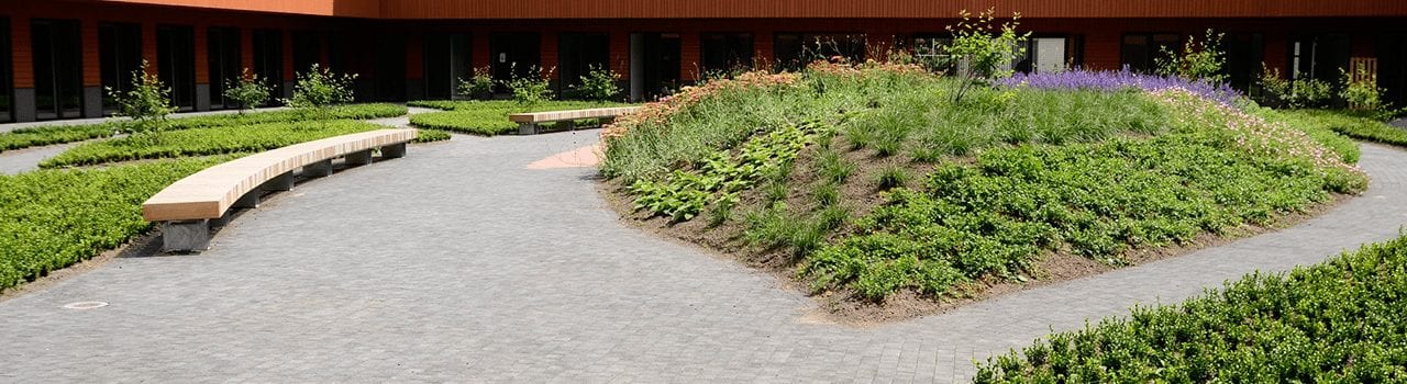 Page Header Background