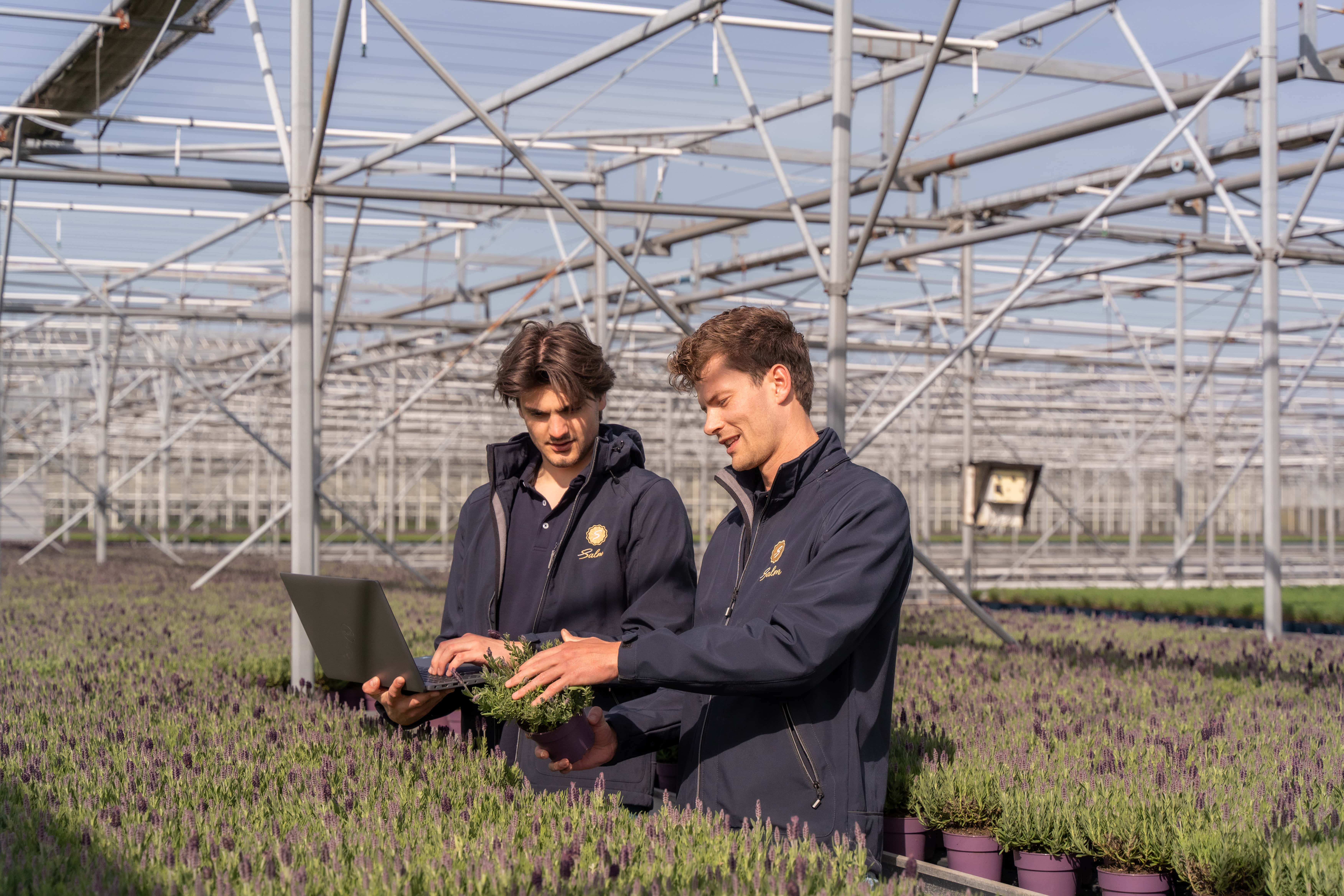 Page Header Background